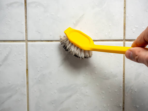 Trusted Liberal, KS Mold Removal Experts