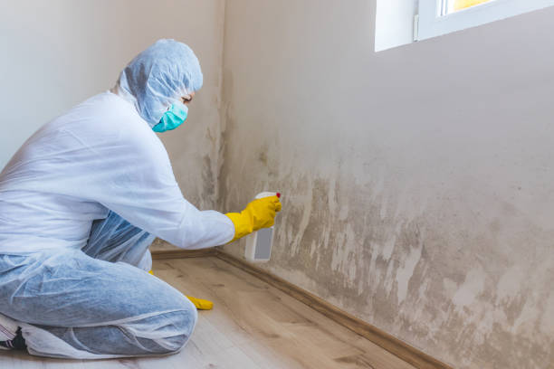 Best Crawl Space Mold Removal  in Liberal, KS