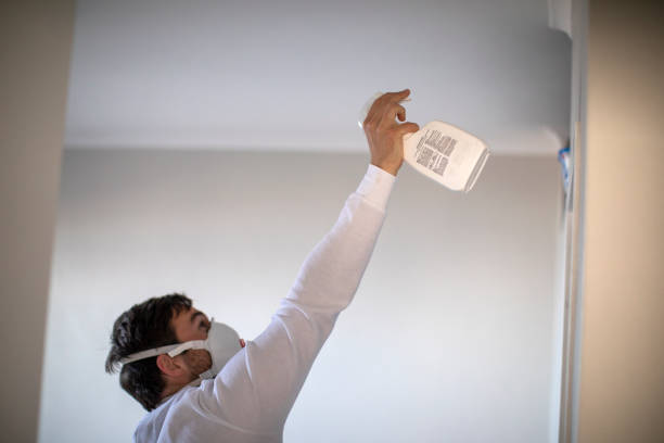 Mold Testing and Removal in Liberal, KS