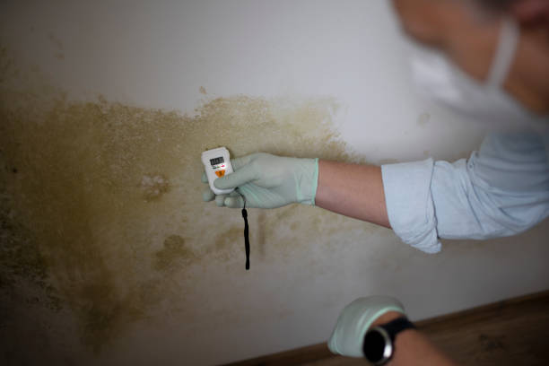 Best Emergency Mold Removal  in Liberal, KS