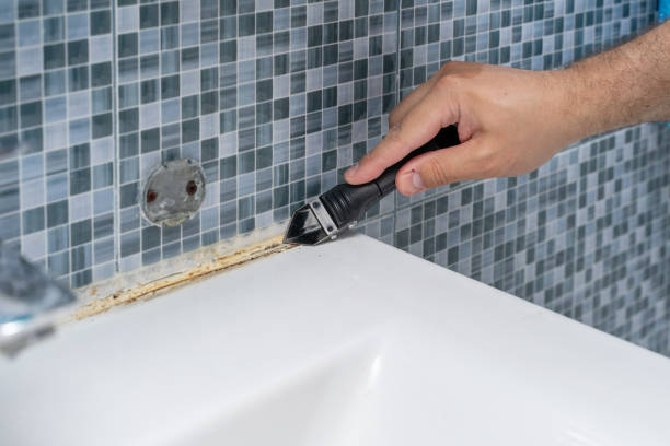 Best Mold Removal Near Me  in Liberal, KS