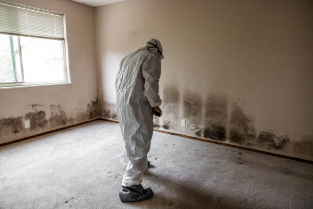 Best Mold Testing  in Liberal, KS
